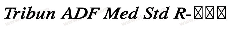 Tribun ADF Med Std R字体转换 Tribun ADF Med Std R字体转换